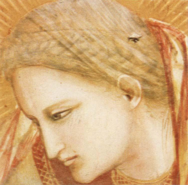 GIOTTO di Bondone Detail of Birth of Christ Germany oil painting art
